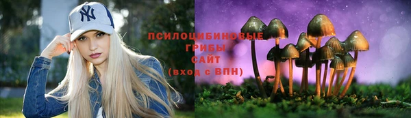 не бодяженный Лагань