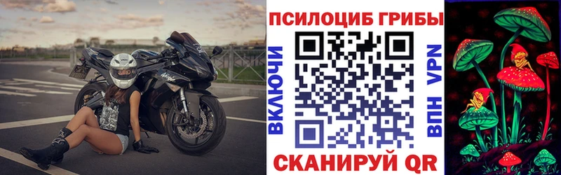 Псилоцибиновые грибы MAGIC MUSHROOMS  Купить где  Саяногорск 